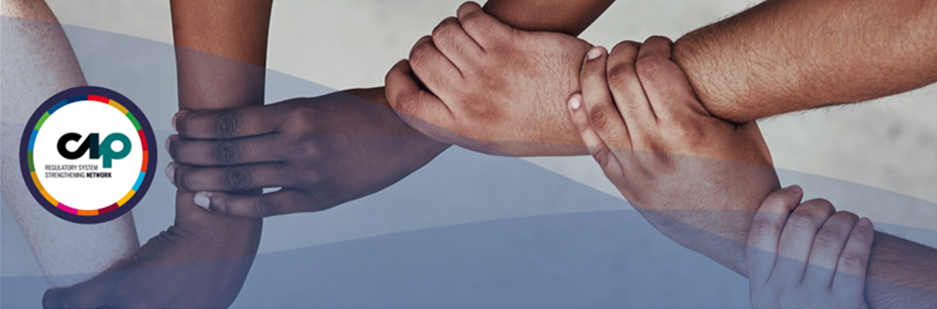 CIP Network banner