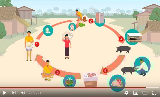 Illustration - A One Health Approach to Tackling the Pork Tapeworm
