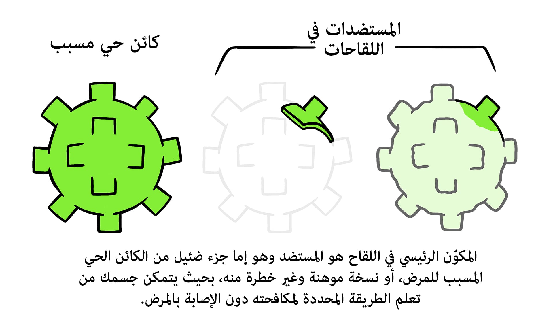 Vaccines topic 2 01 Vaccine Antigens