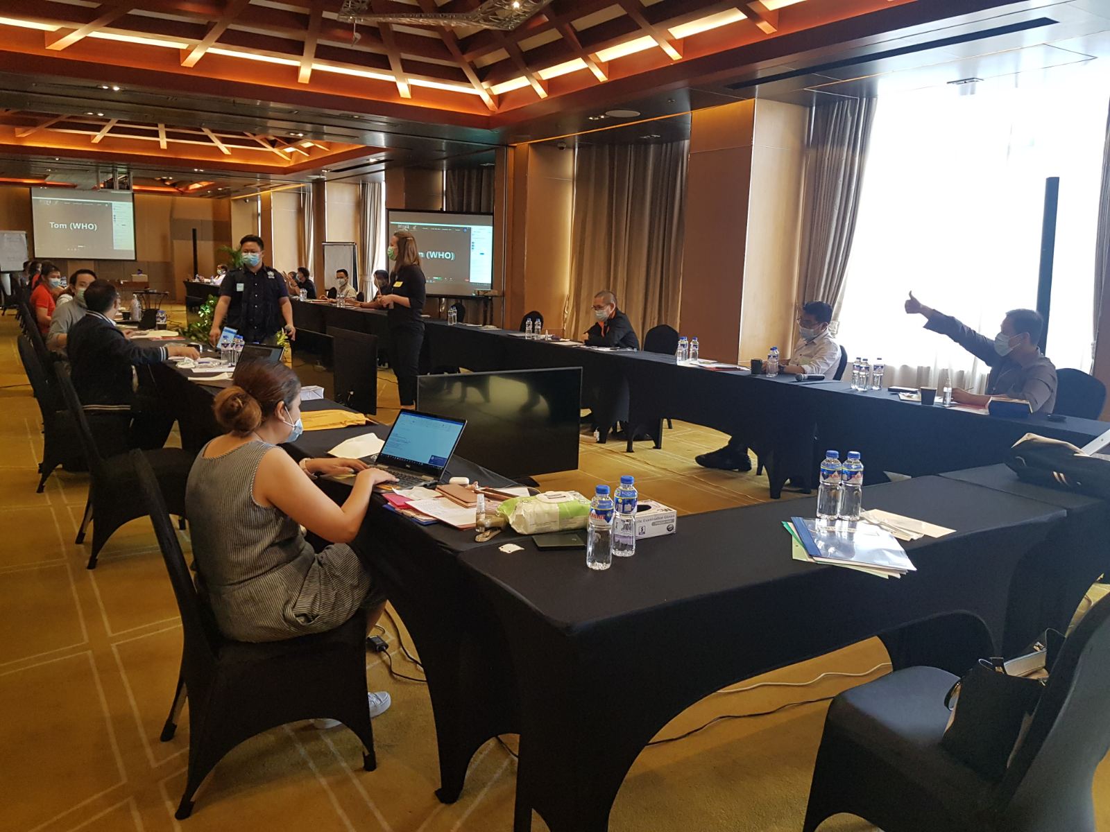 WHO PH workshop
